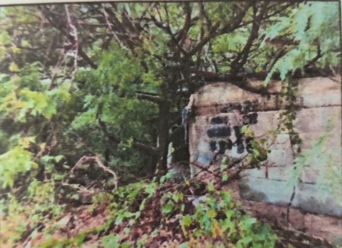 Imagen de casa Terreno Miramar